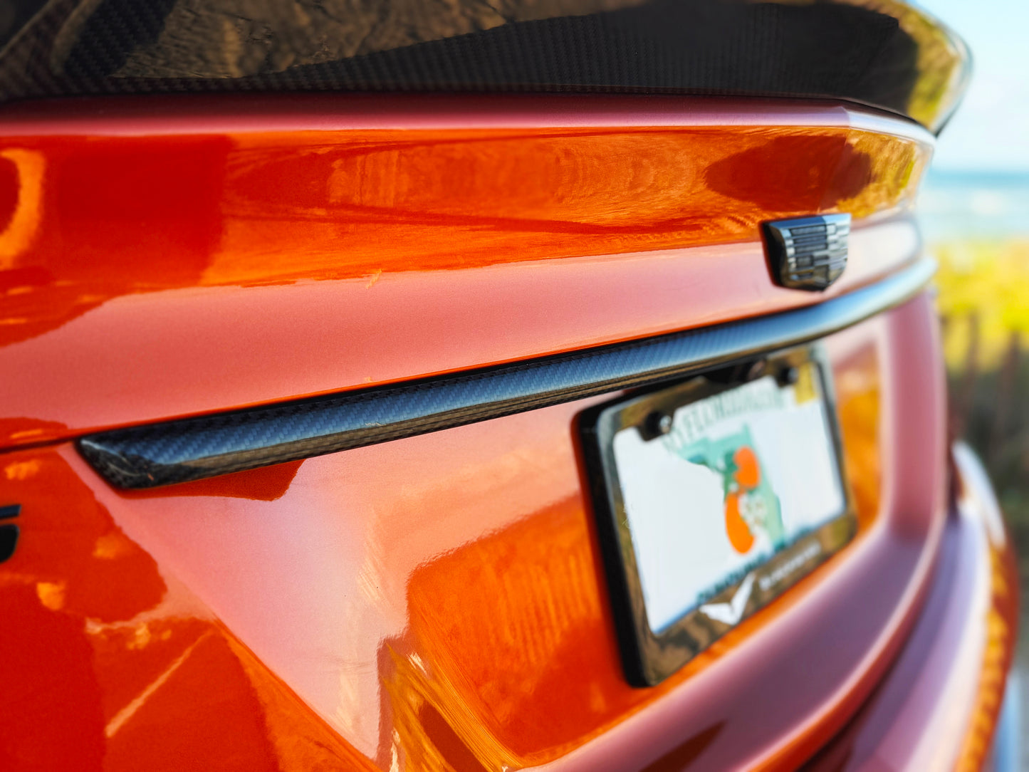 CT5-V Genuine Carbon Fiber Appliqué Overlay