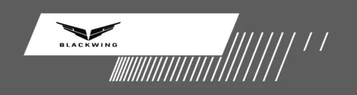 2022-2024 CT5-V Blackwing Monochrome "Blackwing" Logo Side Mirror Puddle Lights